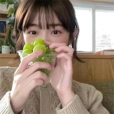 青春同人志